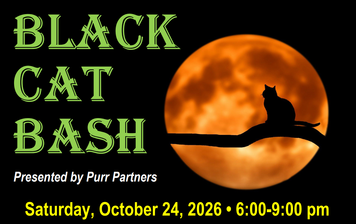 Poster for Black Cat Bash: lime-green stacked text on left, orange full moon with a black cat silhouette on a branch on the right; includes 'Presented by Purr Partners' and date/time.